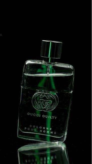 guide d’achat de chaussures pour hommes